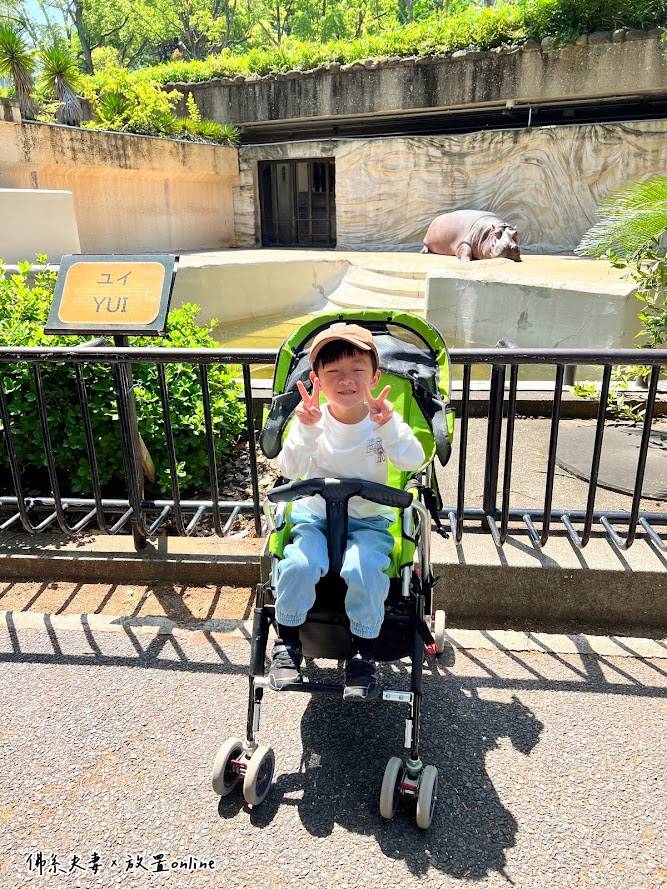 上野動物園租推車-小孩出國帶推車 